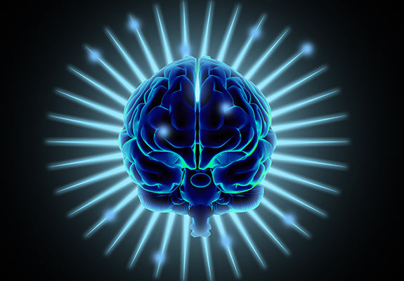 Is criticality a unified setpoint of brain function