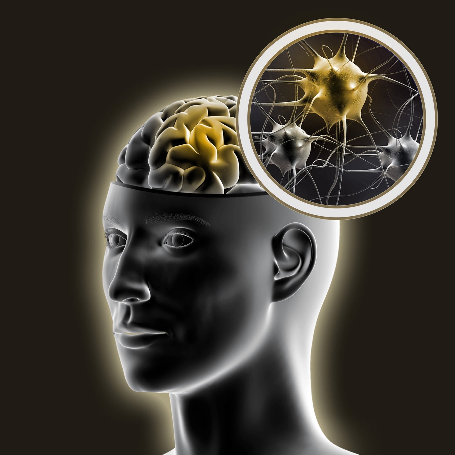 Mindfulness meditation and attentional capacity