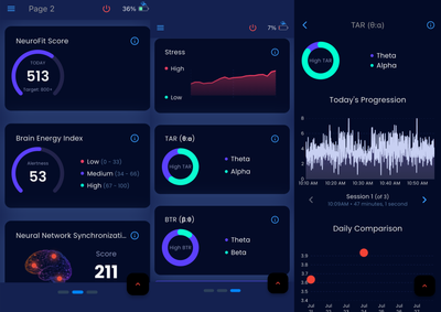 Brain Metrics